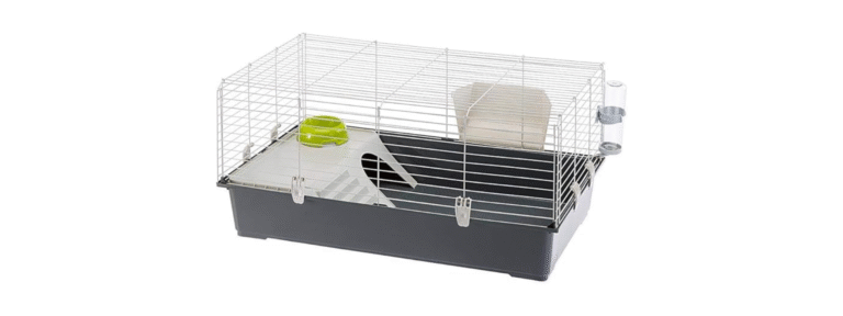 Untitled design 32 Avopets