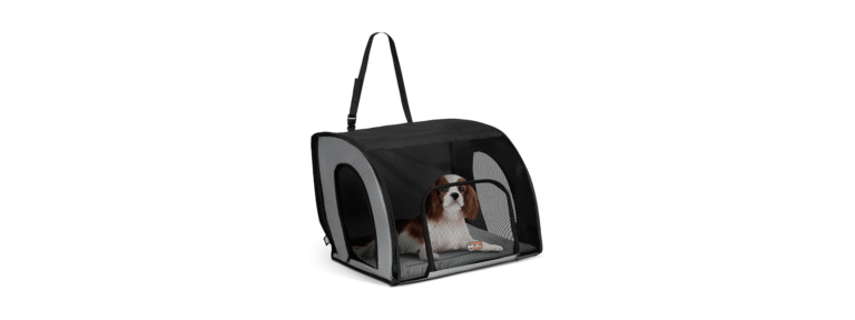 Untitled design 42 Avopets