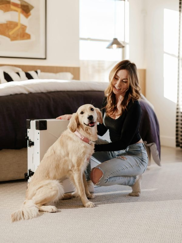 pexels-impact-dog-crates-1789722873-30268645 pexels-impact-dog-crates-1789722873-30268645